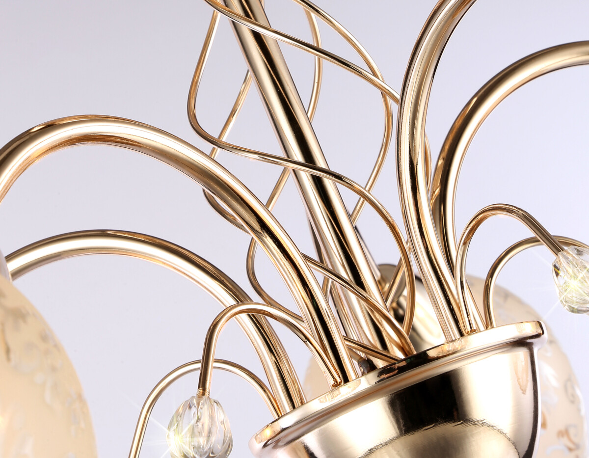 TR3189/5 GD/CL/FR золото/прозрачный/белый матовый E27/5 max 40W D600*285 — изображение 6