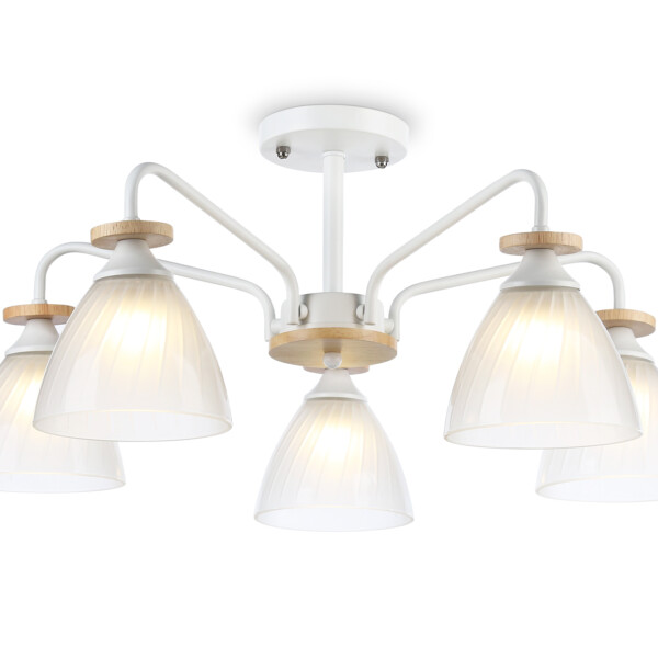 TR9567/5 WH/FR белый/белый матовый E27/5 max 40W D620*250