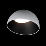 10197/350 WB  Потолочный светильник  LOFT IT Egg — изображение 2