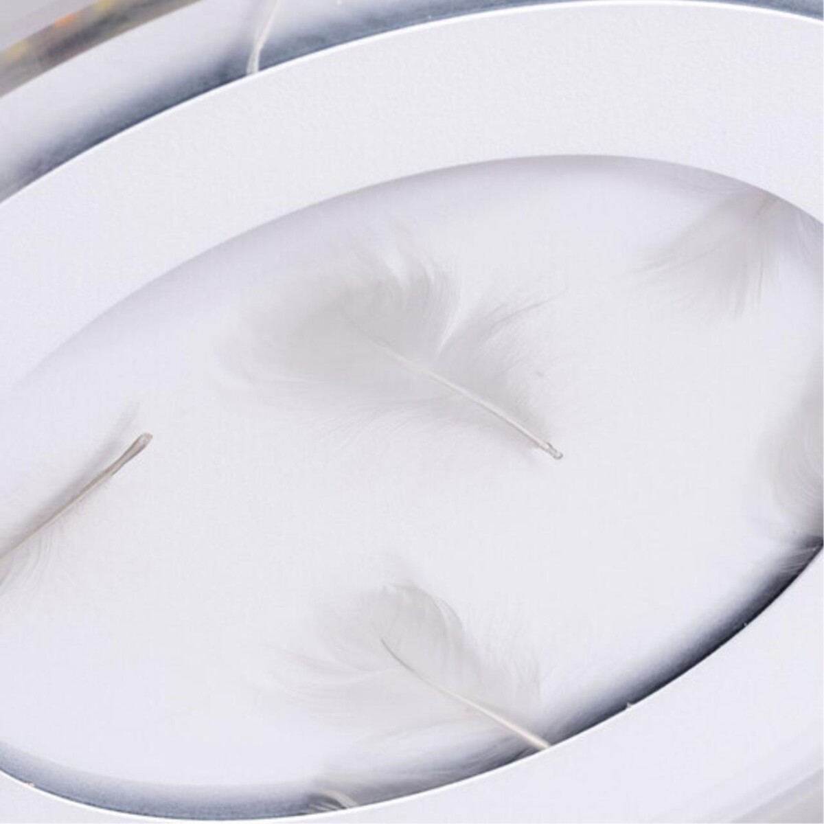 A1397PL-1CL СВЕТИЛЬНИК ПОТОЛОЧНЫЙ — изображение 2