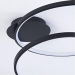 A3893PL-30BK СВЕТИЛЬНИК ПОТОЛОЧНЫЙ — изображение 3