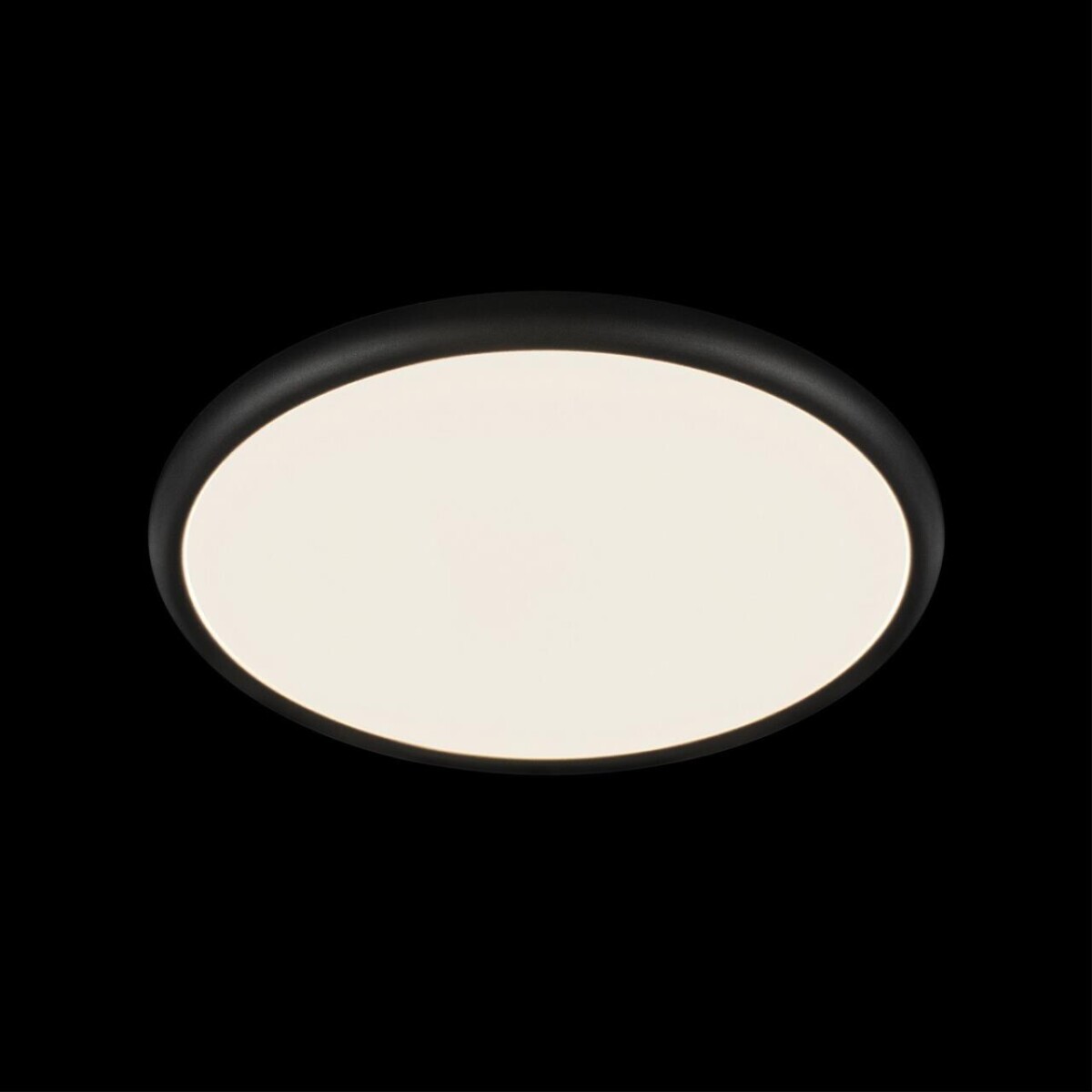 10454/400 Black  Потолочный светильник  LOFT IT Sweety — изображение 2