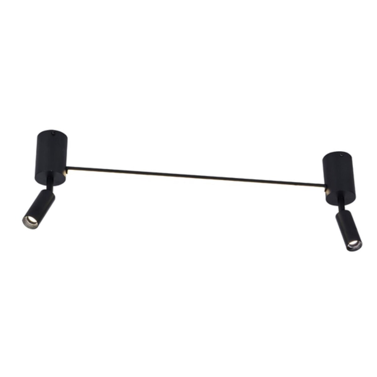 A2219PL-2BK СВЕТИЛЬНИК ПОТОЛОЧНЫЙ — изображение 1