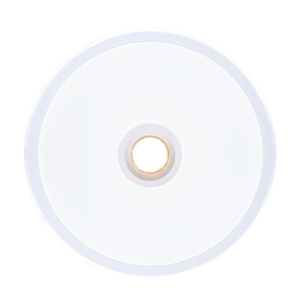 A2517PL-2WH СВЕТИЛЬНИК ПОТОЛОЧНЫЙ — изображение 3