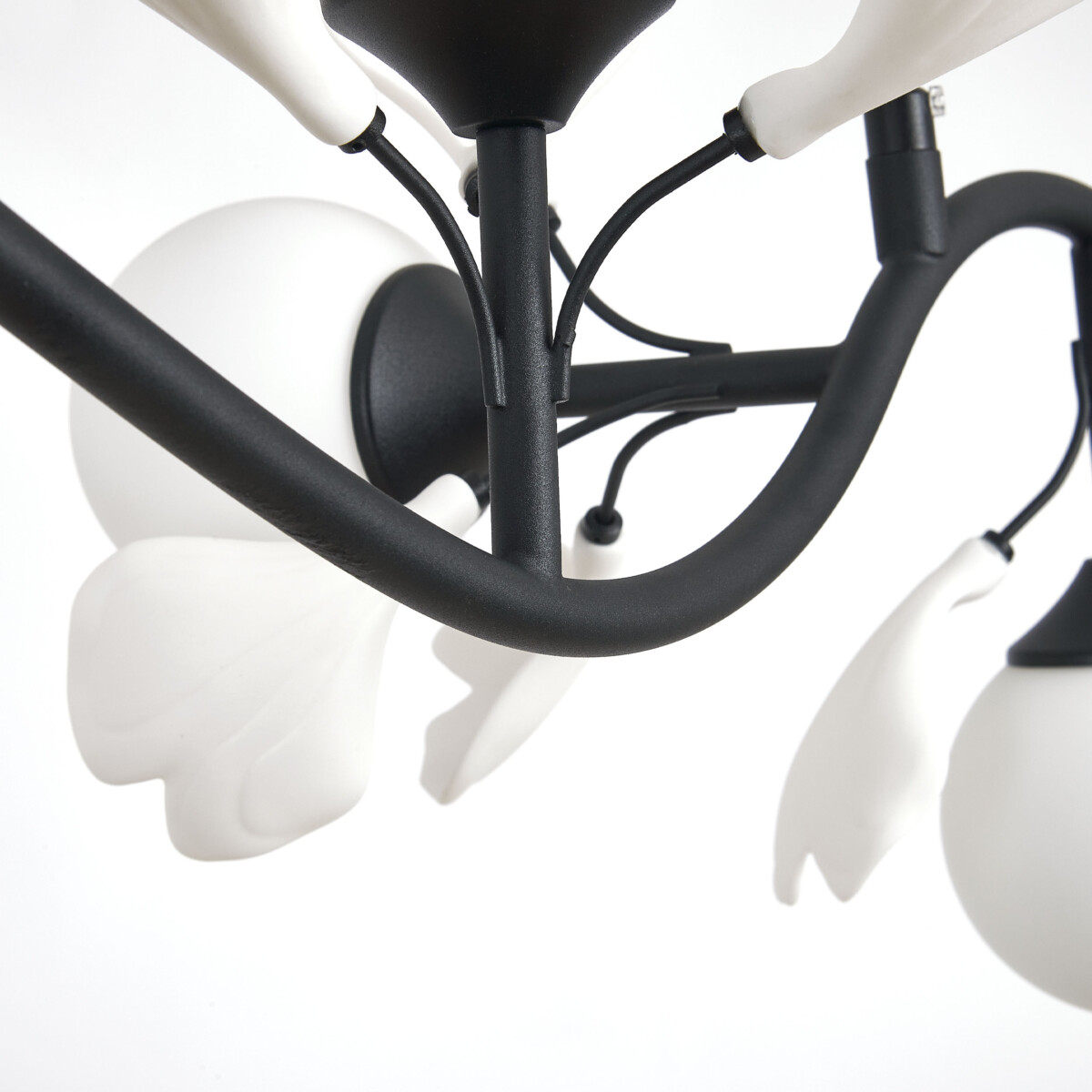 в наличии 799087 Люстра CERAMO BW 8х6W(led) G9 ЧЕРНЫЙ/БЕЛЫЙ - купить в интернет-магазине Светильники Торг