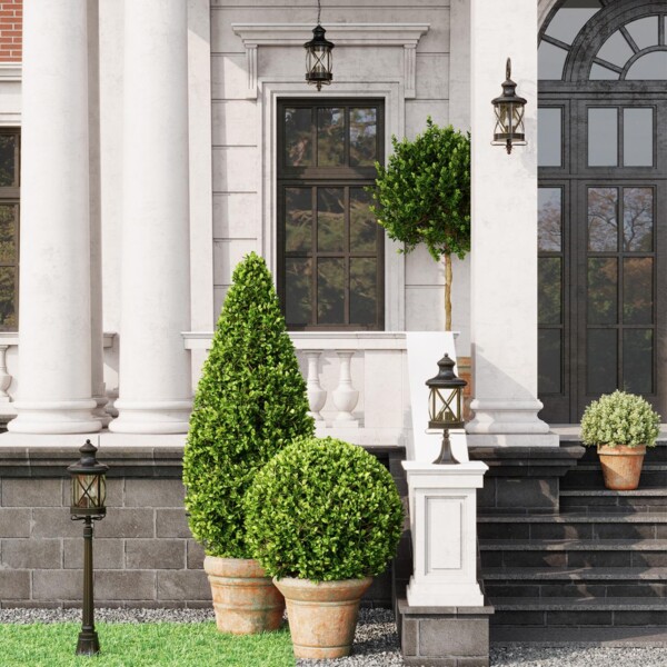 4045/1C NATURE ODL18 701 черный/зол.патина Уличный потолочный светильник IP44 E27 60W 220V SATION