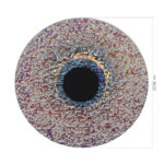 SL6142.423.01 Светильник подвесной ST-Luce черный/радужный LED 1*8W 4000K ALUMNO — изображение 5