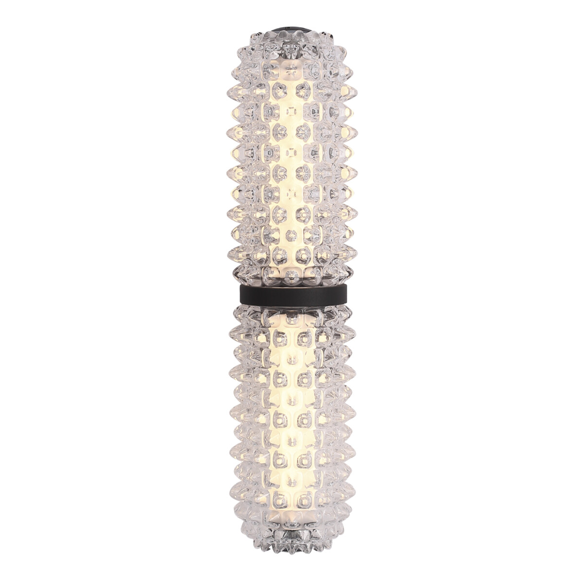SL6144.401.01 Светильник настенный ST-Luce черный/прозрачный LED 1*11W 4000K SAGUARO — изображение 1