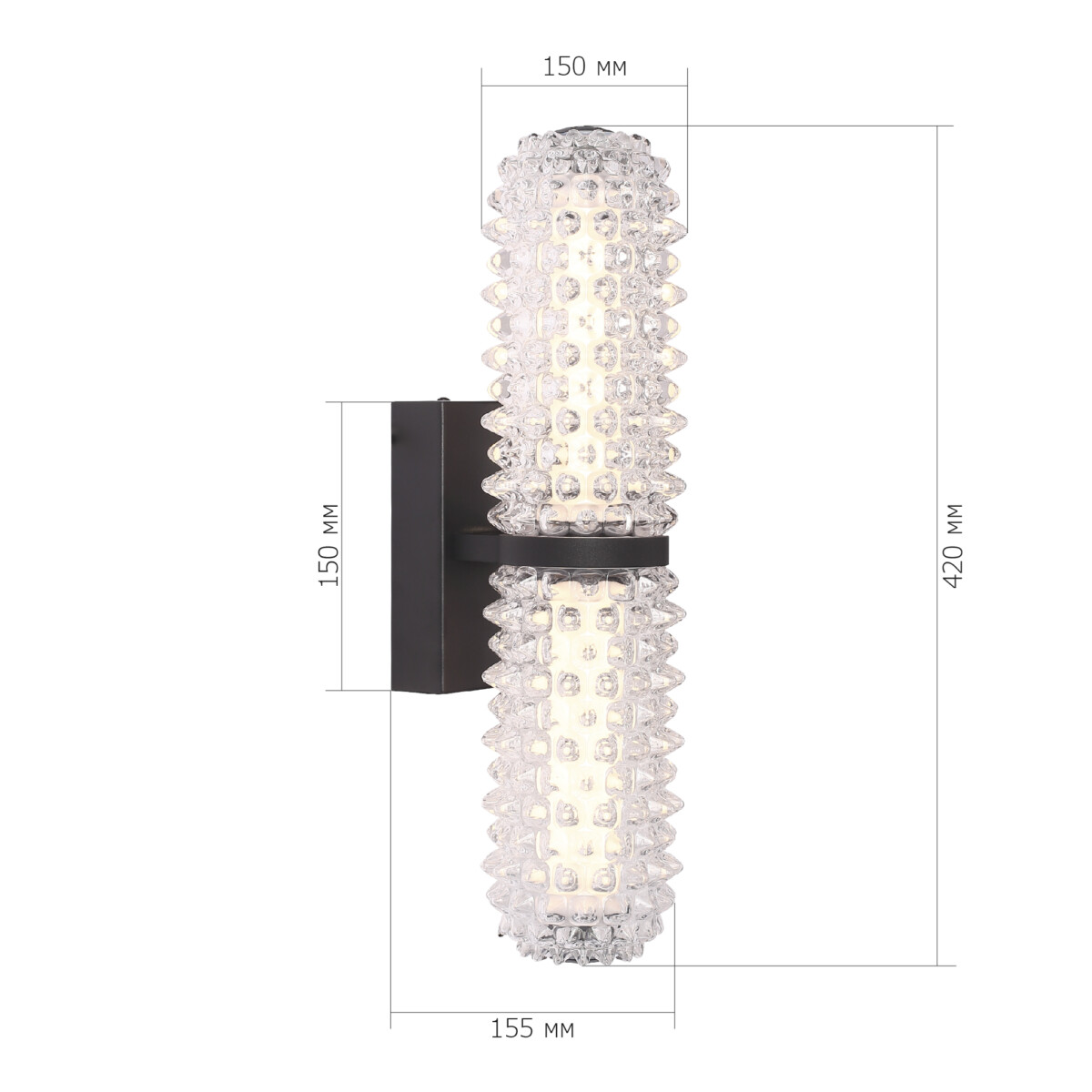 SL6144.401.01 Светильник настенный ST-Luce черный/прозрачный LED 1*11W 4000K SAGUARO — изображение 5