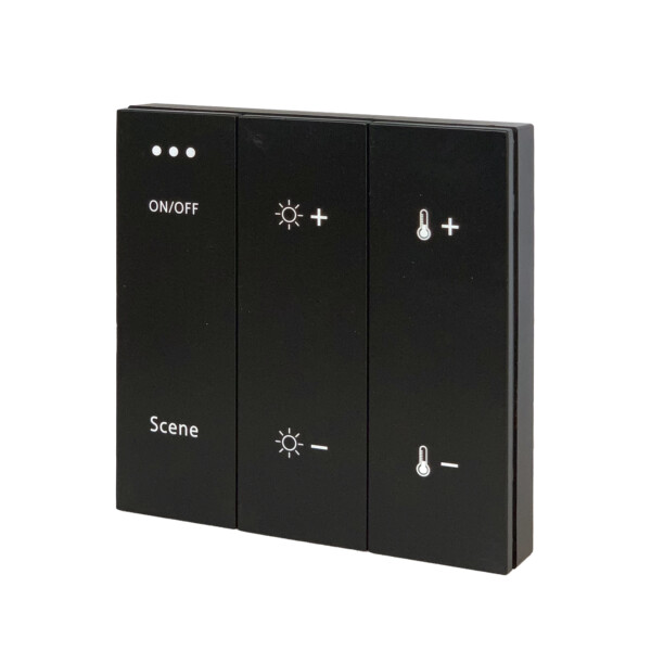 ST015.400.99 Беспроводная панель управления для SKYLIINE 220/SKYLINE 48 Черный 1 группа AROUND