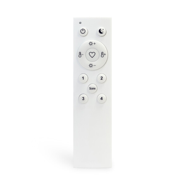 ST015.500.98 Пульт управления для SKYLINE 220/ SKYLINE 48 Белый AROUND