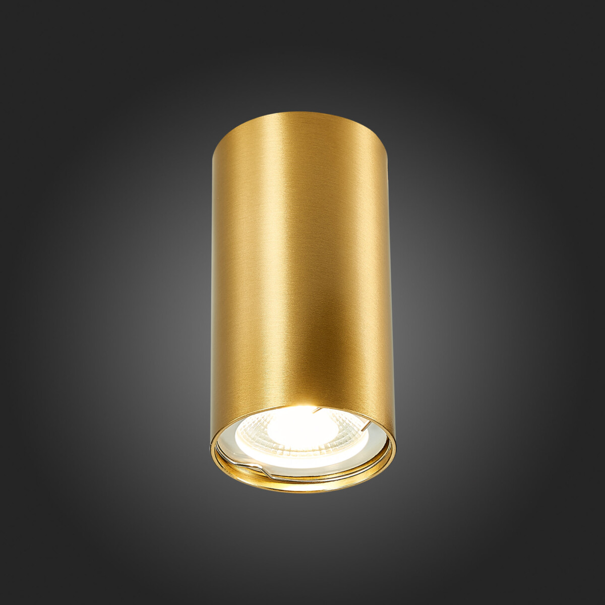 ST110.207.01 Светильник потолочный Золотистый GU10 1*50W  IP20 D54xH100 220V Без ламп Накладные светильники — изображение 2