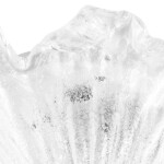 601030 Люстра MURANO 3х40W E14 Cristallo — изображение 7