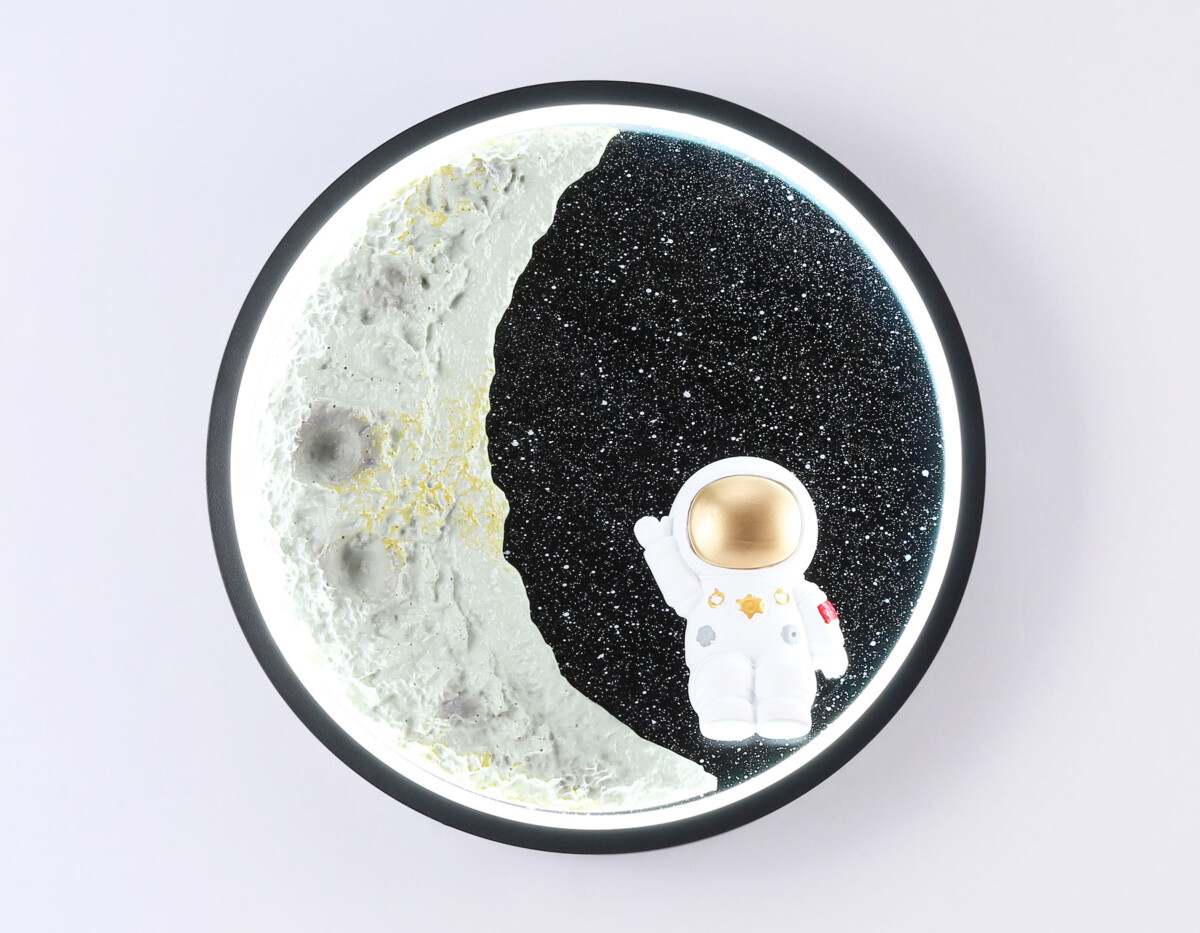 FW11102 SBK черный песок LED 3000K/4200K/6400K 12W D300*35 — изображение 3