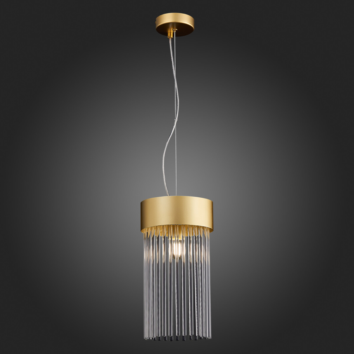 SL1225.203.01 Светильник подвесной ST-Luce Золотистый/Золотистый, Прозрачный E27 1*60W CONTATTO — изображение 8