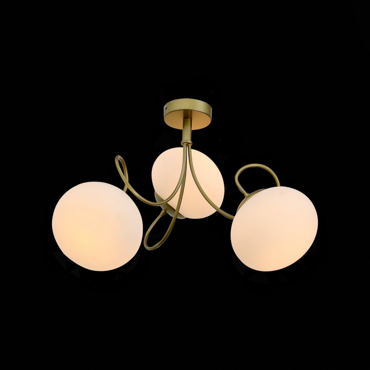 SL717.202.03_01B SL717.202.03 Светильник потолочный Золото/Белый E27 3*40W ACINI — изображение 1