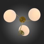 SL717.202.03 Светильник потолочный Золото/Белый E27 3*40W ACINI — изображение 5