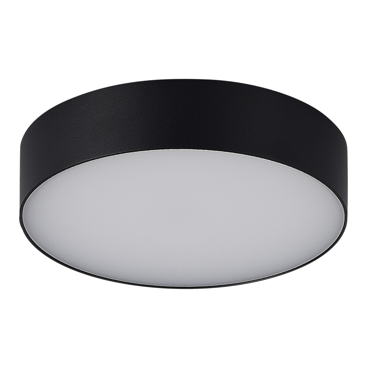 SL9518.402.01 Светильник уличный потолочный ST-Luce черный/белый LED 1*20W 3000K/4000K/5000K SUN — изображение 2