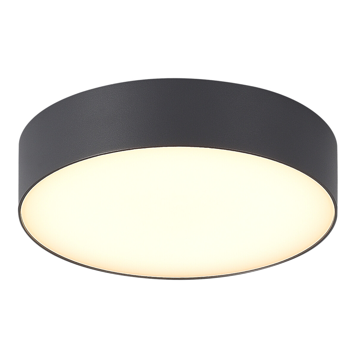 SL9518.702.01_01W SL9518.702.01 Светильник уличный потолочный ST-Luce серый/белый LED 1*20W 3000K/4000K/5000K SUN — изображение 1