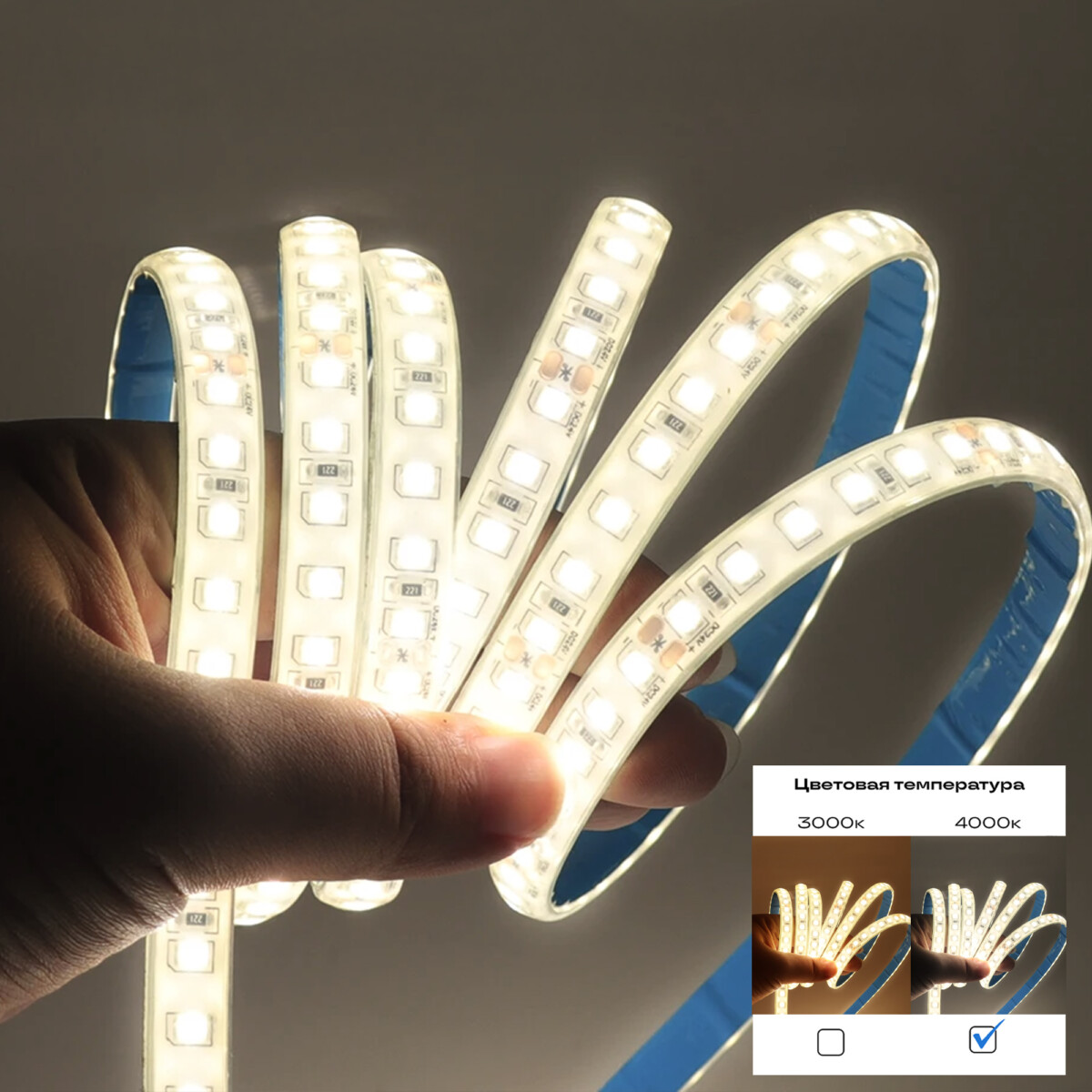 в наличии ST1001.410.20 Светодиодная лента 2835 9,6Вт/м 4000К 5400Lm Ra>90 IP20 L5000xW12 24В Светодиодные ленты - купить в интернет-магазине Светильники Торг