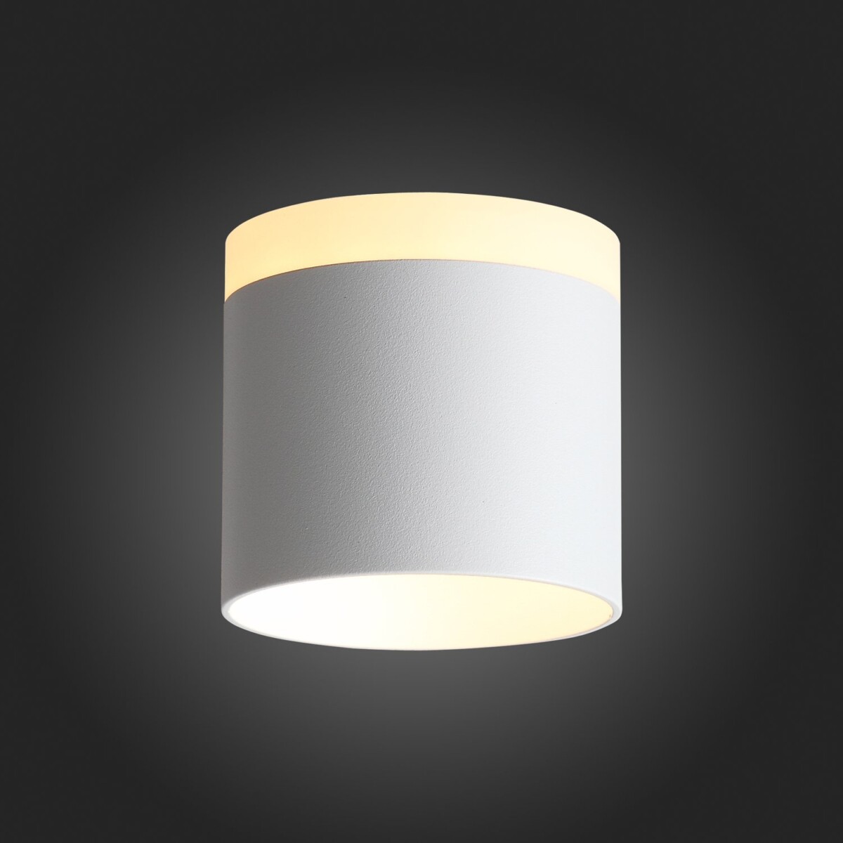 ST102.502.09 Светильник потолочный Белый LED 1*9W 3000K 702Lm Ra>80 120° IP20 D79xH75 170-240V Накладные светильники — изображение 2