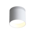 ST102.502.09 Светильник потолочный Белый LED 1*9W 3000K 702Lm Ra>80 120° IP20 D79xH75 170-240V Накладные светильники — изображение 6