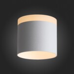 ST102.502.12 Светильник потолочный Белый LED 1*12W 3000K 936Lm Ra>80 120° IP20 D100xH90 170-240V Накладные светильники — изображение 2