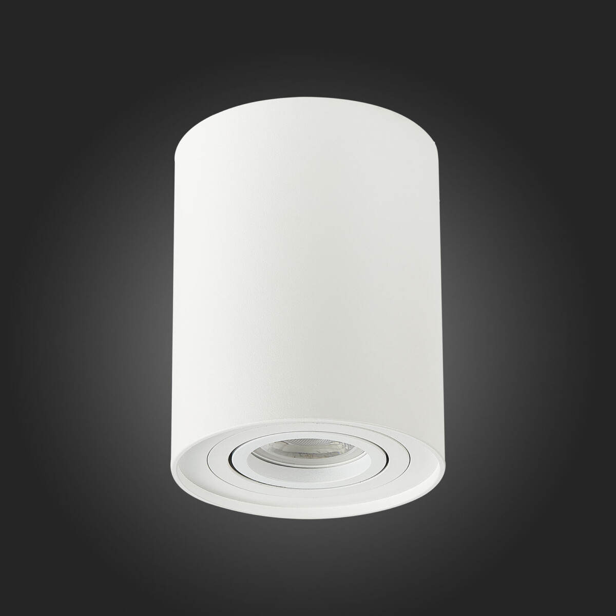 ST108.517.01 Светильник потолочный Белый GU10 1*50W  IP20 D98xH124 220V Без ламп Накладные светильники — изображение 5