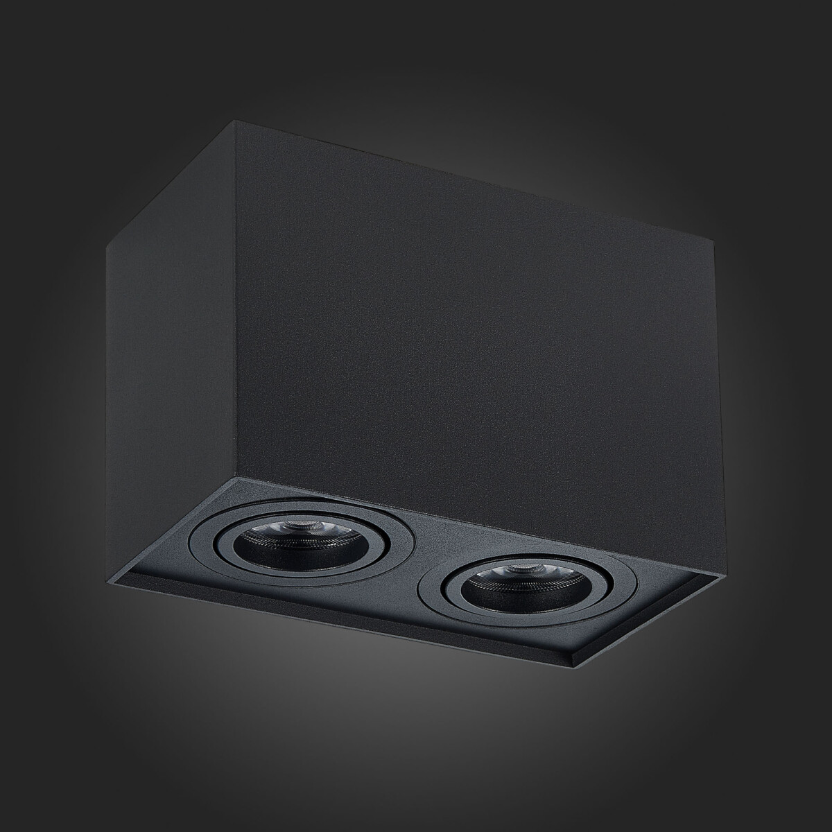 ST109.407.02 Светильник потолочный Черный GU10 2*50W  L181xW100xH123 220V Без ламп Накладные светильники — изображение 5