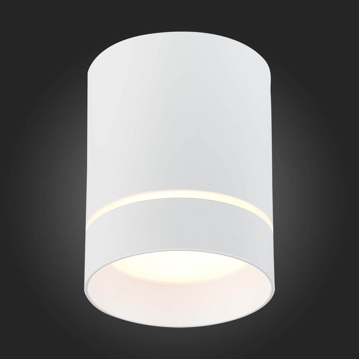 ST115.532.12 Светильник потолочный Белый LED 1*12W 3000K 840Lm Ra>90 120° IP20 D79xH100 170-240V Накладные светильники — изображение 2