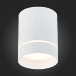 ST115.532.12 Светильник потолочный Белый LED 1*12W 3000K 840Lm Ra>90 120° IP20 D79xH100 170-240V Накладные светильники — изображение 2