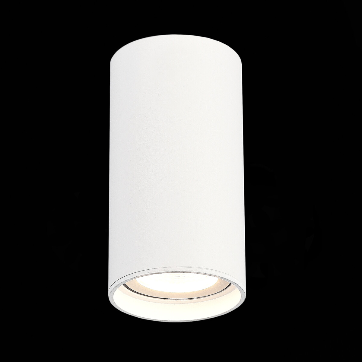 ST157.532.15 Светильник потолочный Белый LED 1*15W 3000K 1 200Lm Ra>90 60° IP44 D75xH140 220-265V Накладные светильники — изображение 1