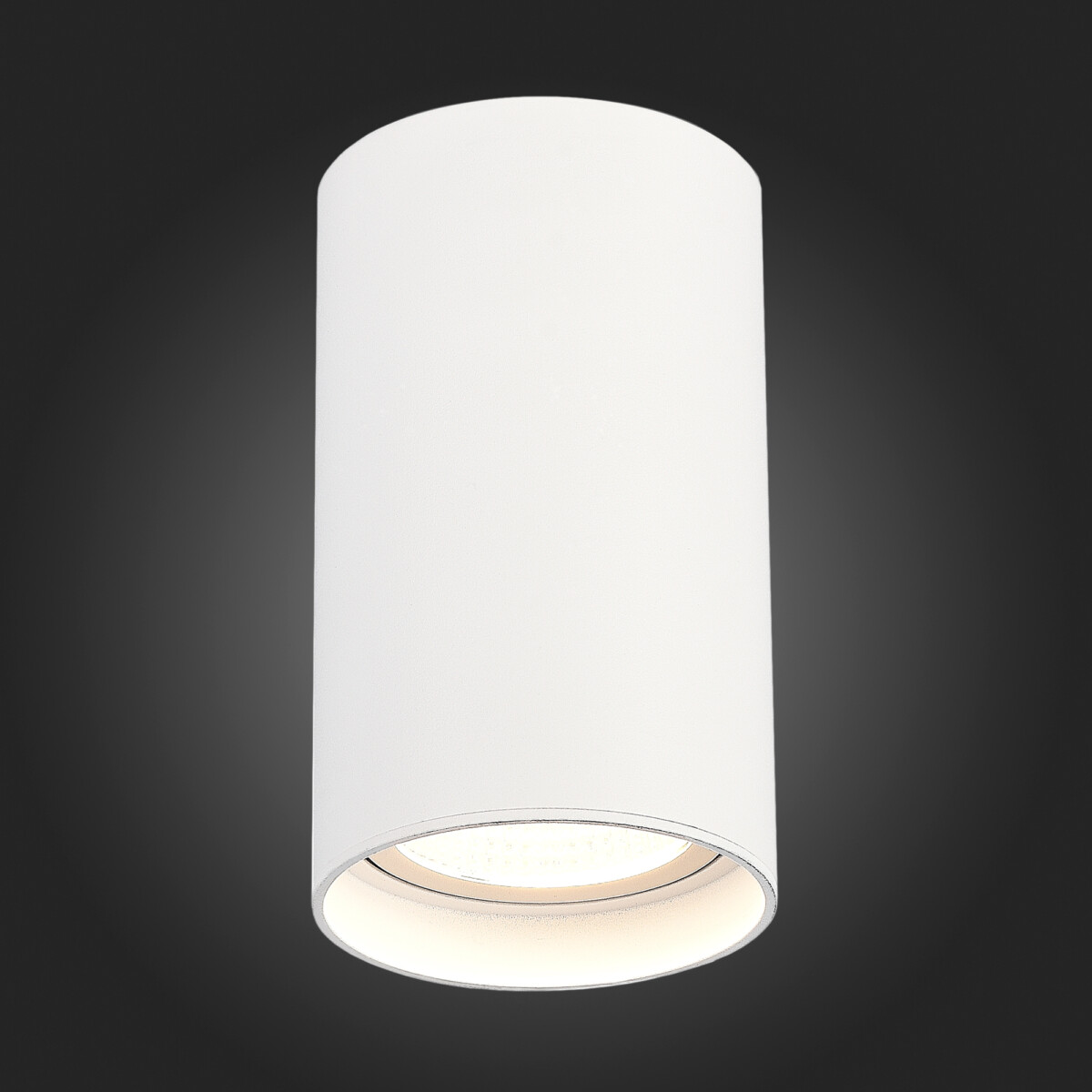 ST157.542.20 Светильник потолочный Белый LED 1*20W 4000K 1 600Lm Ra>90 60° IP44 D95xH150 220-265V Накладные светильники — изображение 2