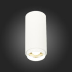 ST600.542.10 Светильник потолочный Zoom Белый LED 1*10W 4000K 1 000Lm Ra>80 15-60° IP20 D59xH130 170 Накладные светильники — изображение 2