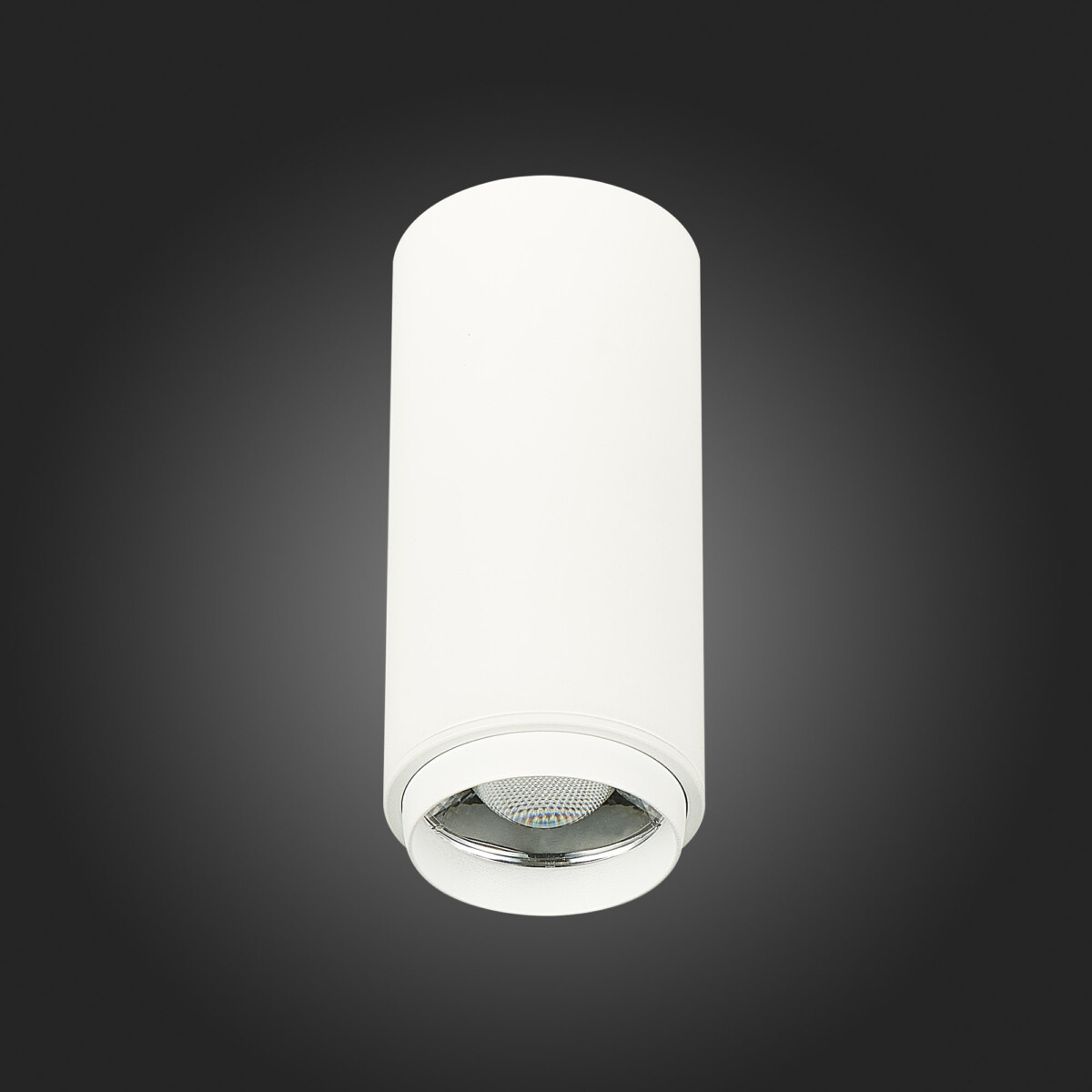 ST600.542.10 Светильник потолочный Zoom Белый LED 1*10W 4000K 1 000Lm Ra>80 15-60° IP20 D59xH130 170 Накладные светильники — изображение 5