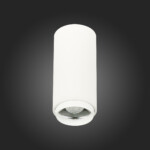 ST600.542.10 Светильник потолочный Zoom Белый LED 1*10W 4000K 1 000Lm Ra>80 15-60° IP20 D59xH130 170 Накладные светильники — изображение 5