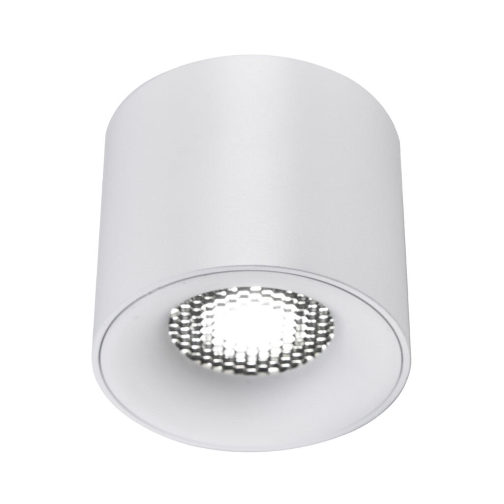 в наличии ST761.543.10 Светильник потолочный белый LED 1*10W 4000K 530Lm Ra 36° IP20 D80xH70 170-240VV Накладные светильники - купить в интернет-магазине Светильники Торг