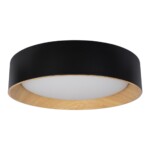 в наличии 10202 Black Потолочный светильник LOFT IT Coin - купить в интернет-магазине Светильники Торг