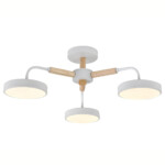 Escada 10270/3 LED*60W White/Wood — изображение 4