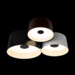 в наличии 10360/3 Потолочный светильник LOFT IT Duo - купить в интернет-магазине Светильники Торг