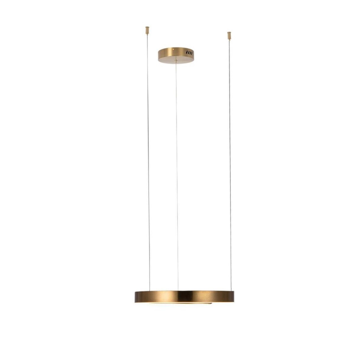 в наличии 10013S Подвесной светильник LOFT IT Ring - купить в интернет-магазине Светильники Торг