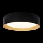 в наличии 10202 Black Потолочный светильник LOFT IT Coin - купить в интернет-магазине Светильники Торг