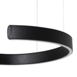 10025/400 Black Подвесной светильник LOFT IT Ring — изображение 5
