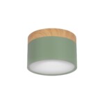 в наличии 10162 Green Накладной светильник LOFT IT Grape - купить в интернет-магазине Светильники Торг
