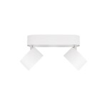 в наличии 10323/2A White Накладной светильник LOFT IT Focus - купить в интернет-магазине Светильники Торг