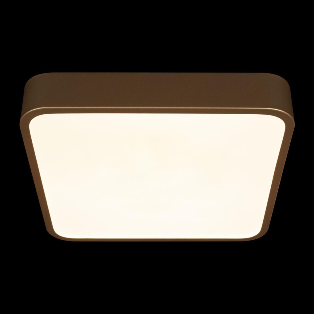 10228/C Потолочный светильник LOFT IT Flims — изображение 6