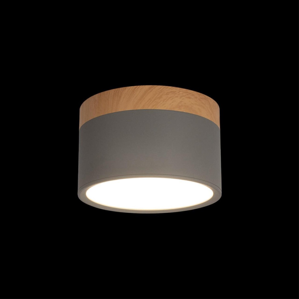 в наличии 10162 Grey Накладной светильник LOFT IT Grape - купить в интернет-магазине Светильники Торг