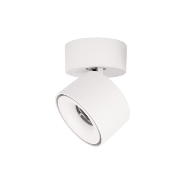 в наличии 10323/A White Накладной светильник LOFT IT Focus - купить в интернет-магазине Светильники Торг