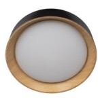 в наличии 10202 Black Потолочный светильник LOFT IT Coin - купить в интернет-магазине Светильники Торг