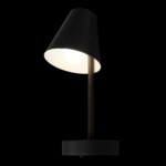 10216/1W Black Настенный светильник LOFT IT Shelf — изображение 6